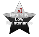 Low Maintenance Roofing